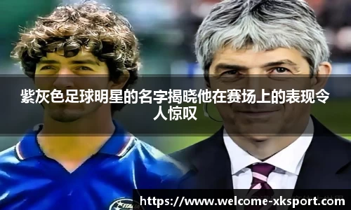 星空体育在线官网